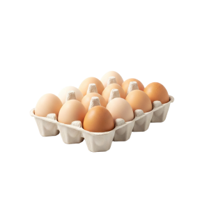 Huevos de Corral